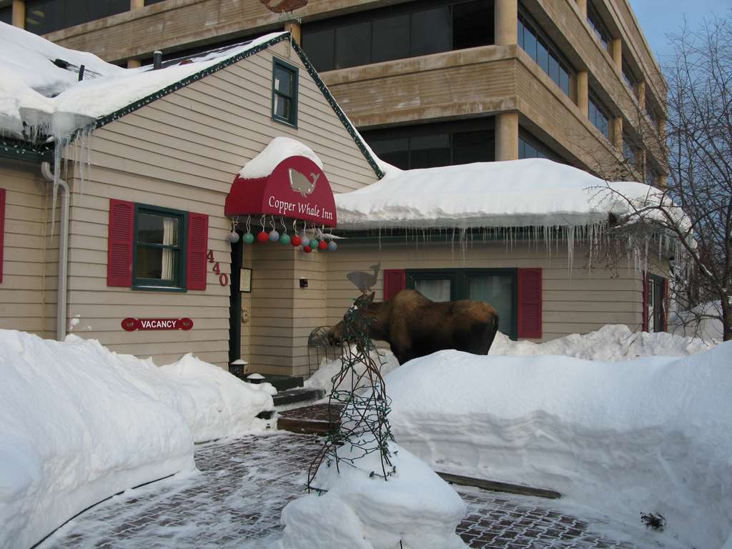 Copper Whale Inn Anchorage Esterno foto