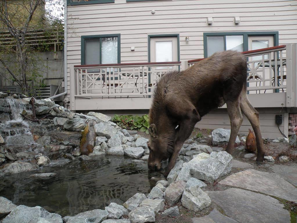 Copper Whale Inn Anchorage Esterno foto